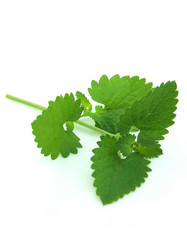 Similar image 235986