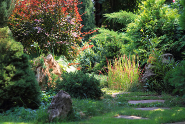 Similar image 235990