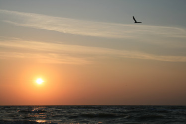 Similar image 236004