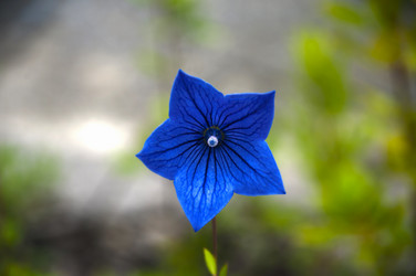 Similar image 236013