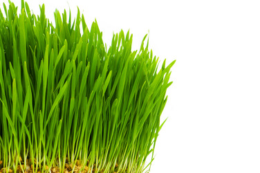 Similar image 236069