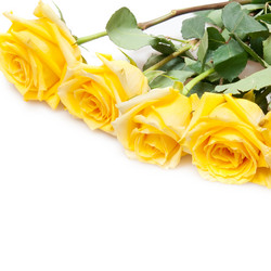 Similar image 236096