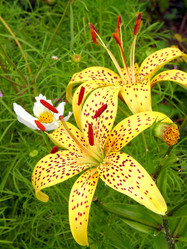 Similar image 236106