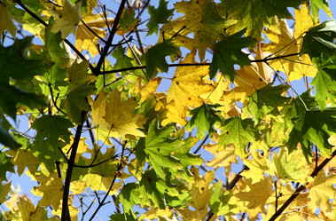 Similar image 236114