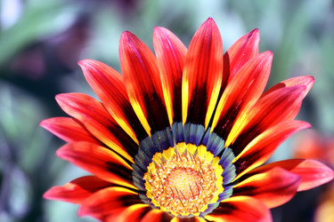 Similar image 236116