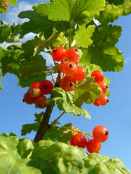 Similar image 236129