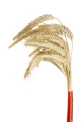 Similar image 236131