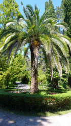 Similar image 236138