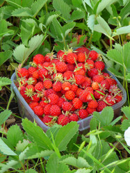 Similar image 236142