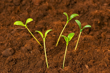 Similar image 236148