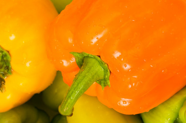 Similar image 236157