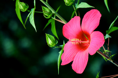 Similar image 236164