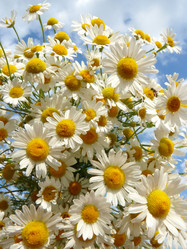 Similar image 236172