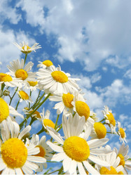 Similar image 236174