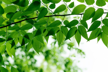 Similar image 236177