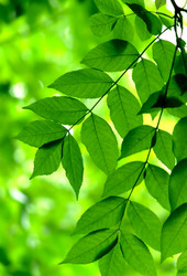 Similar image 236178