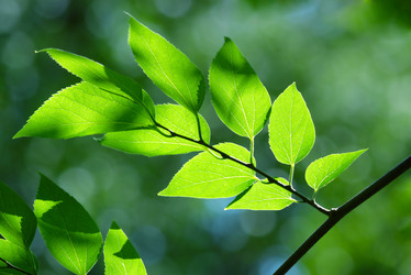 Similar image 236180