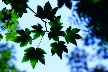 Similar image 236182