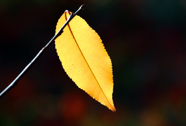 Similar image 236185