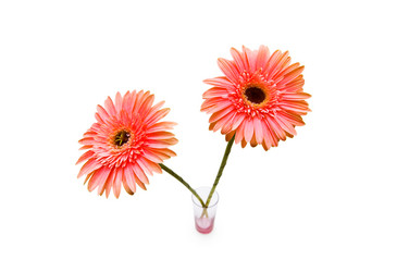 Similar image 236186