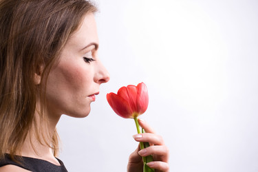 Similar image 236190