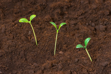 Similar image 236192