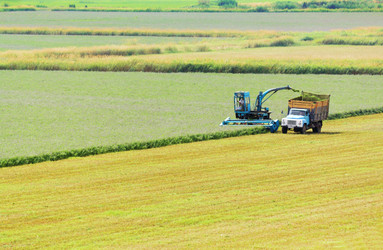 Similar image 236220