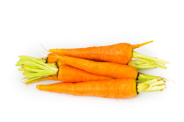 Similar image 236261