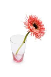 Similar image 236274