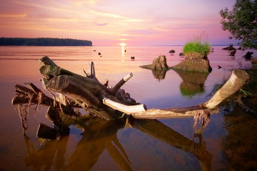 Similar image 236286