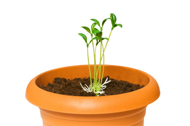 Similar image 236323