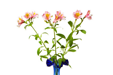 Similar image 236341