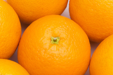 Similar image 236364