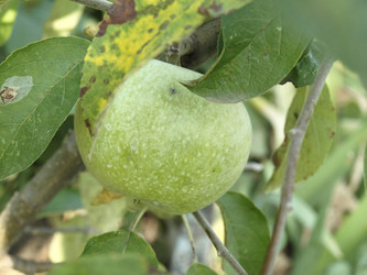 Similar image 236391