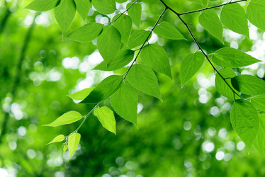 Similar image 236410