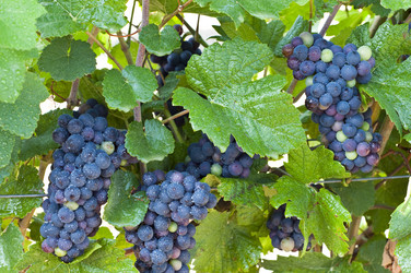 Similar image 236417