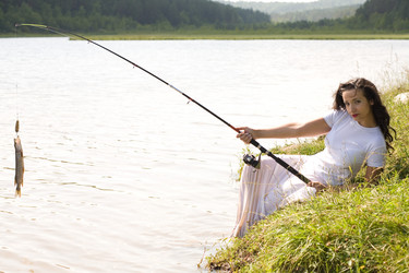 Similar image 236429