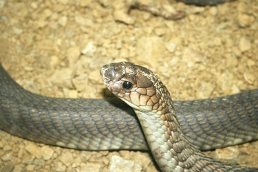 Similar image 236469