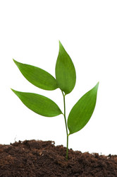 Similar image 236492