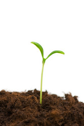 Similar image 236493