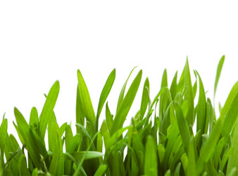 Similar image 236494