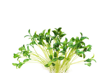 Similar image 236499