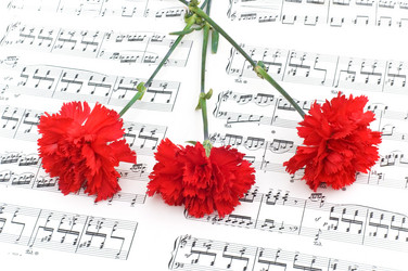 Similar image 236567