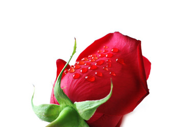 Similar image 236568