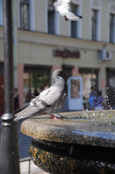 Similar image 236569