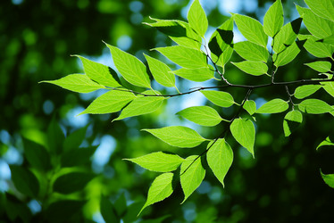 Similar image 236572