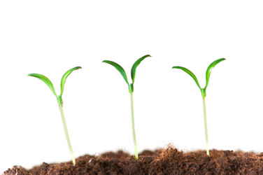 Similar image 236606