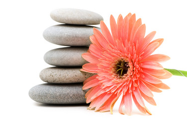 Similar image 236611