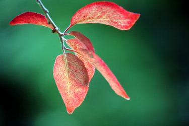 Similar image 236630