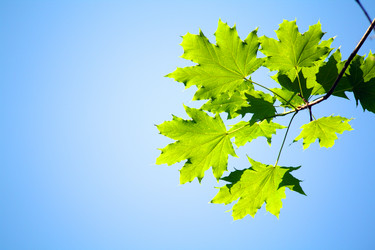 Similar image 236632